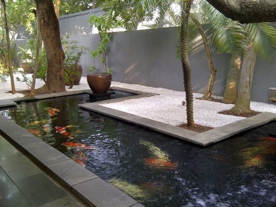 A C-shaped koi pond tucked in a shady part of the landscape. The design blends the design elements of a contemporary design, rock garden, and tropical yard design.
