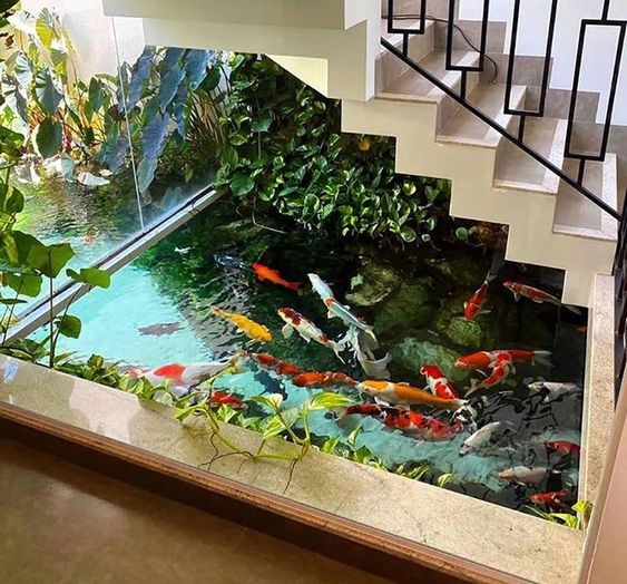 A beautiful indoor koi pond under a staircase that extends to the patio.