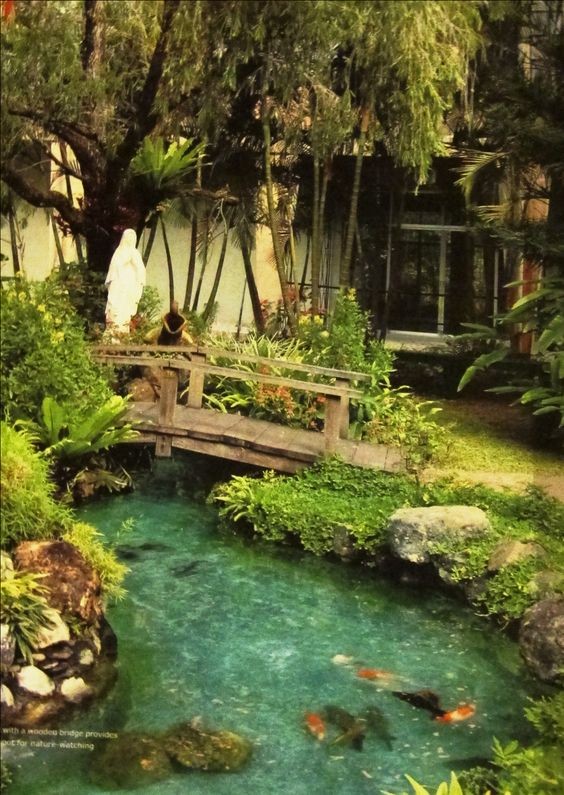 A deck-type bridge over a crystal clear koi pond. 