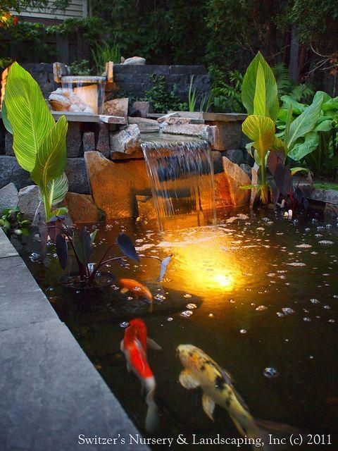 A flat stone waterfall design that creates a smooth ribbon-like water flowing to the koi pond.  
