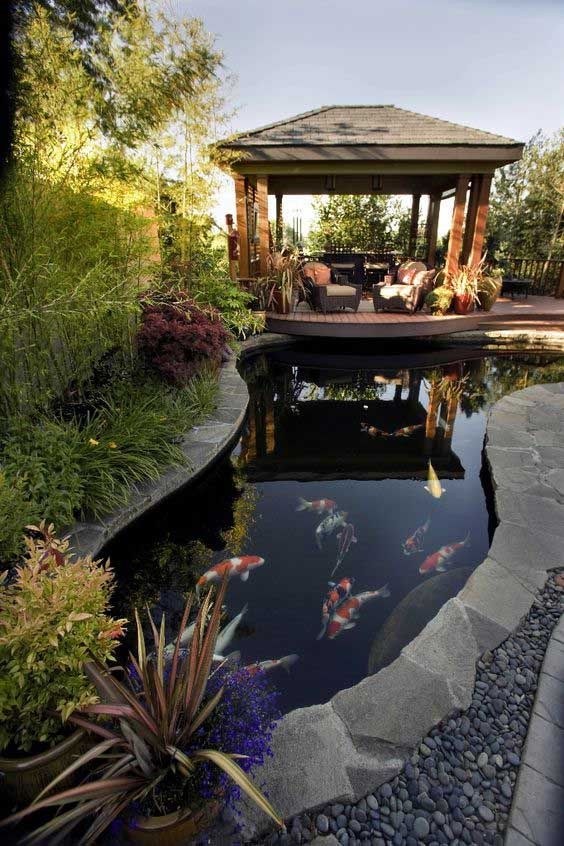 A koi pond next to a resting pavilion that features a seating area that helps visitors appreciate the water features.