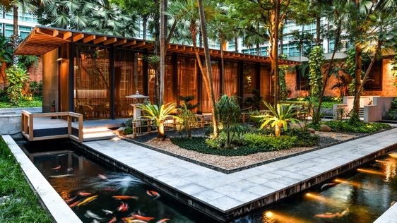 A koi pond that surrounds a courtyard full of young trees.