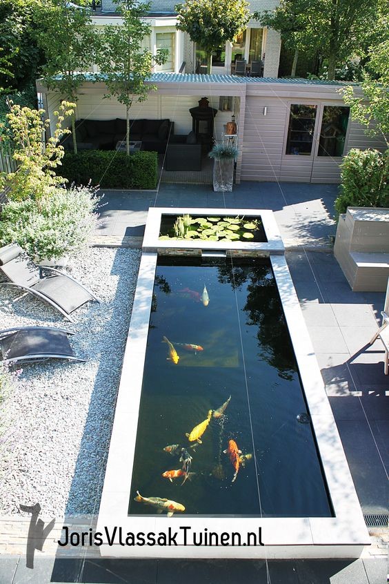 A long strip of a concrete koi pond in the middle of a backyard. 