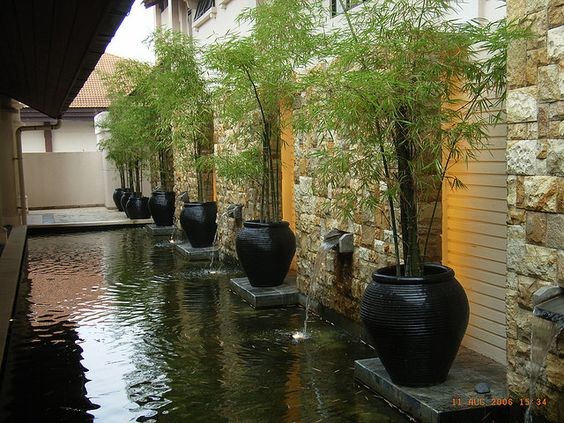 A mini koi pond at the edge of a yard that serves as the highlight of the property.
