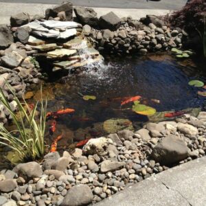 91 Creative Koi Pond Ideas For a Refreshing Yard Experience