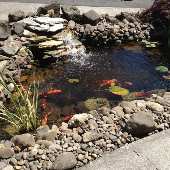 A mini koi pond that highlights the beauty of stacked flat rocks and the vibrant orange color of Hi Utsuri and Ki Utsuri koi fishes.