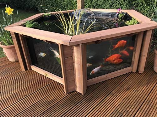 A pentagon-shaped raised koi pond 