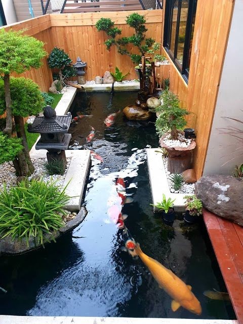 A pocket koi pond in a small balcony 