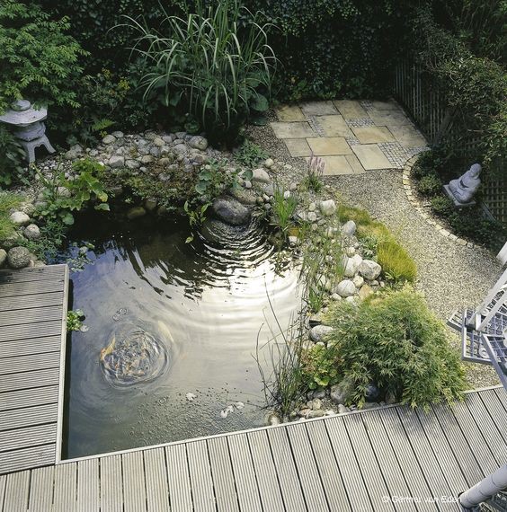 A pocket triangle koi pond edged with Japanese-inspired deck and plants.