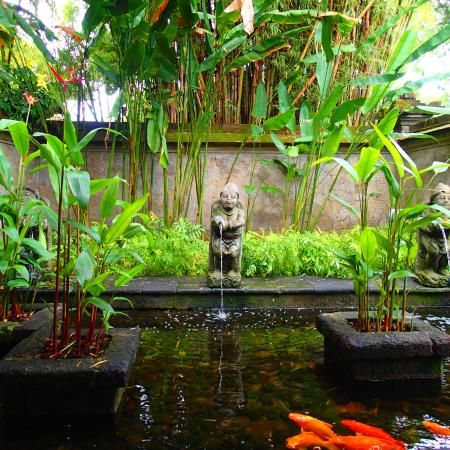 A pond next to a window that allows the tropical plants like birds of paradise to stand out in the background. 