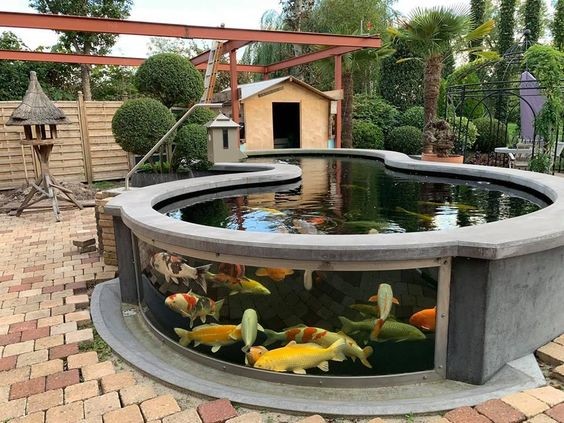  A raised irregularly-shaped koi pond 