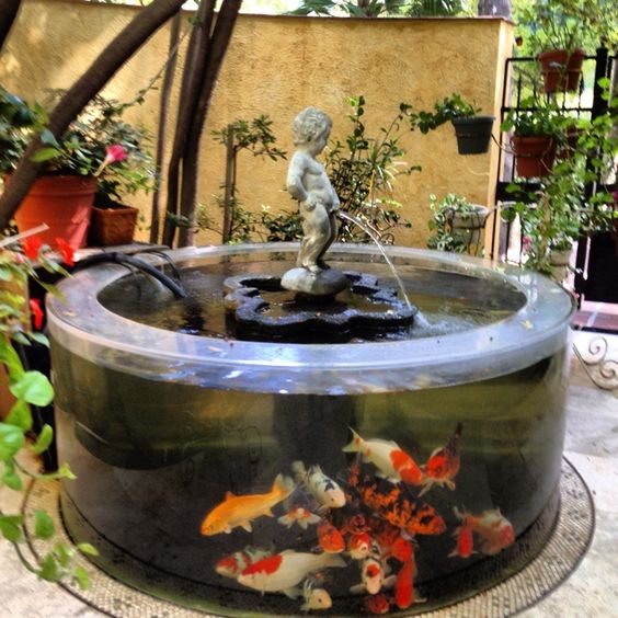 A rounded glass koi pond