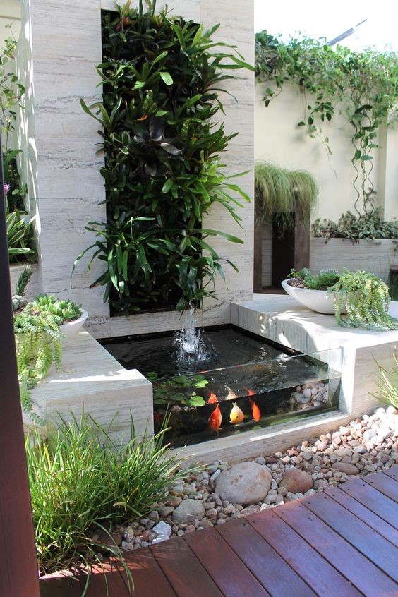 A small Mediterranean-style koi pond 