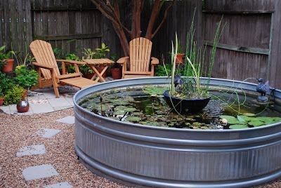 A small-scale water garden/koi pond hybrid design