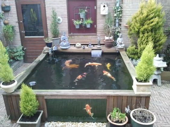 A square-shaped koi pond in a small yard