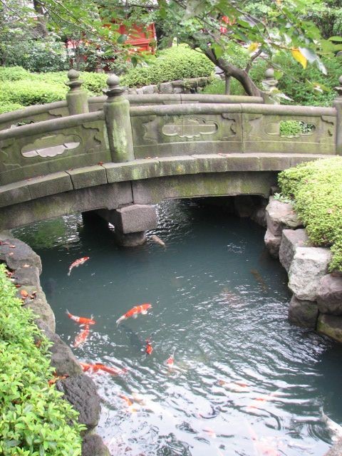 A stone bridge over a river-like koi pond in a Japanese garden.