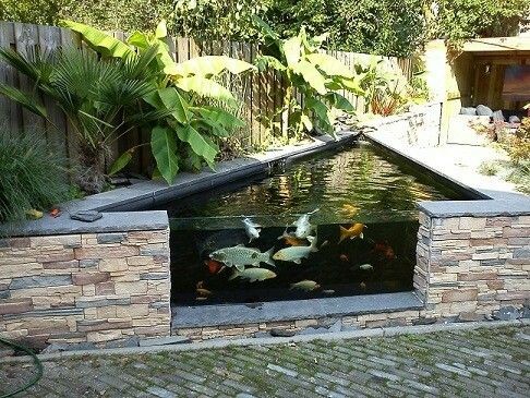 A triangle-shaped koi pond where one side becomes a koi viewer.