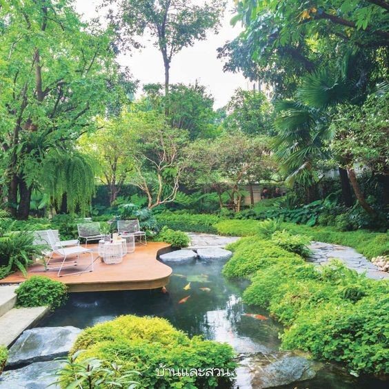 A viewing deck next to a mini koi pond surrounded with moisture-loving plants.

