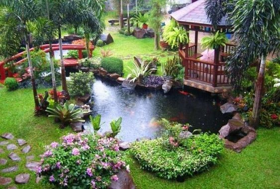 A well-maintained tropical garden that contains a pagoda next to a long strip of the koi pond. 