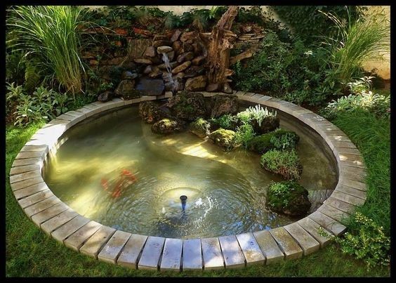 A yin yang koi pond design with brick edges and raised flooring to hold aquatic plants.
