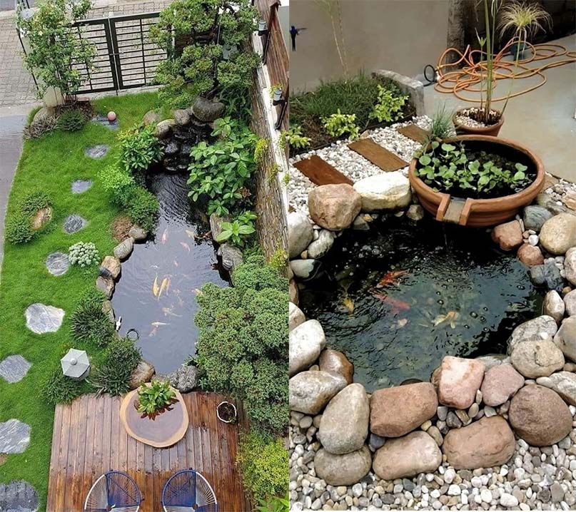 modern koi fish pond