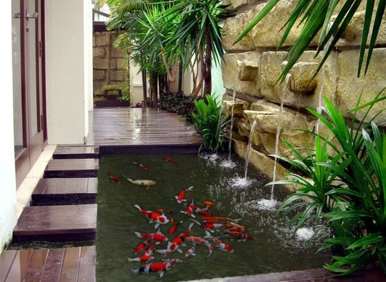Side yard koi pond that maximizes the small space