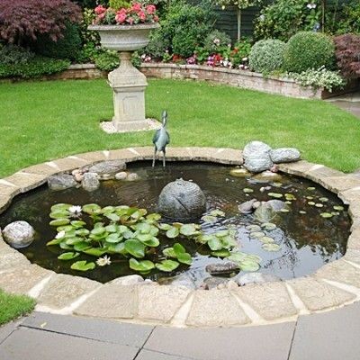 The water garden elements of this koi pond.