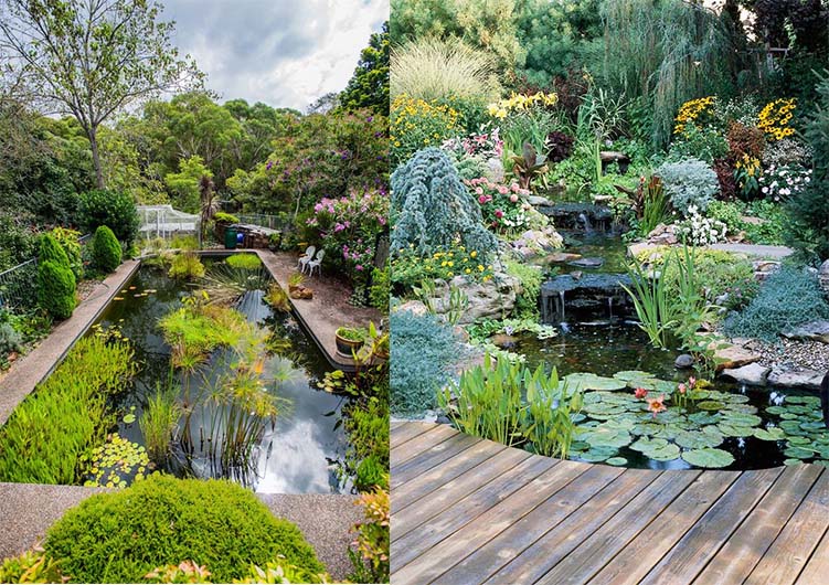 Water garden hybrid designs