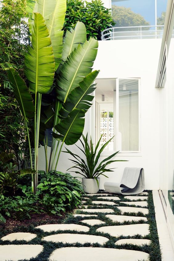 A pocket garden in a house with a white theme.