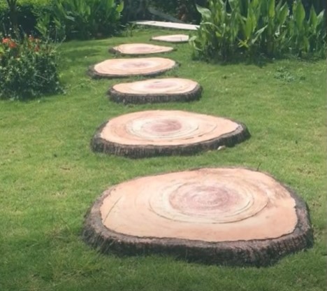 The big slabs of cut wood are used as the stepping stones in the garden path.