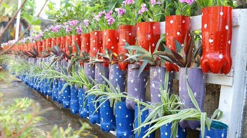A colorful fence planter design using painted soda bottles
 as planters for spider plants and flowering plants. 