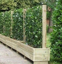 A temporary fence made of several planters with trellis.