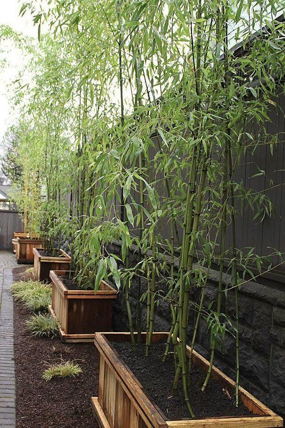 Big wooden fleece planters.