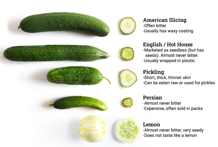 Cucumber type-specific signs when harvesting