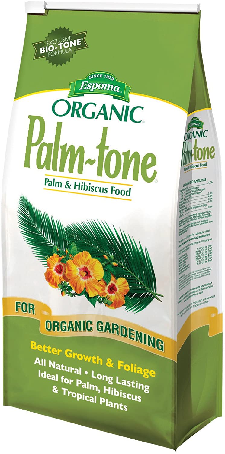 10 Best Fertilizers For Majesty Palms Reviews in 2022