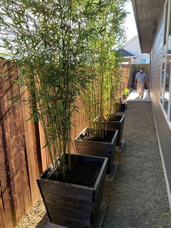 Fence planter boxes with bamboo.