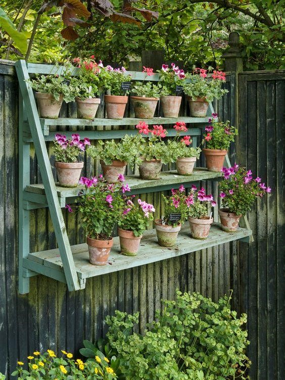 Fence planter on a three-tier rack. 