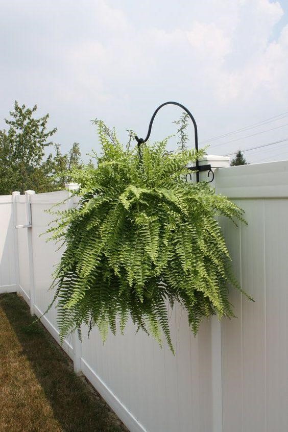 Hanging fence planters on hooks.