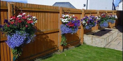 Hanging fence planters with flowers.