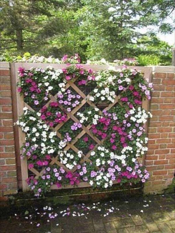 Live wall for flowering plants.