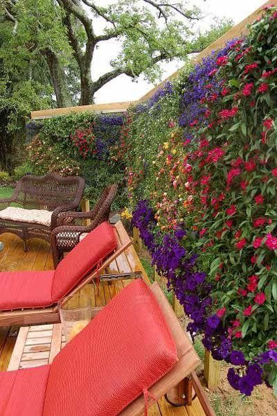 Live wall made of flowering plants. 