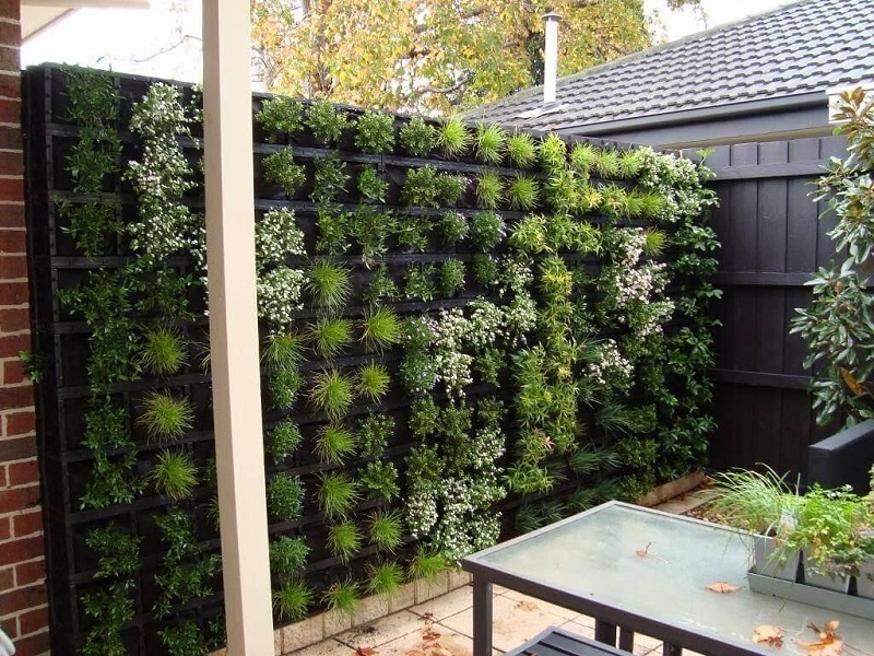 Live wall that covers the fence.