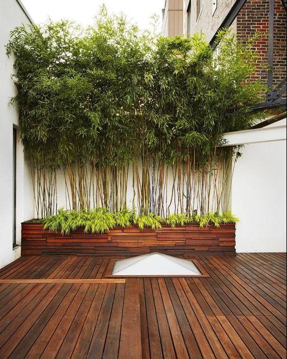 Modern design of the wooden planter in a backyard.