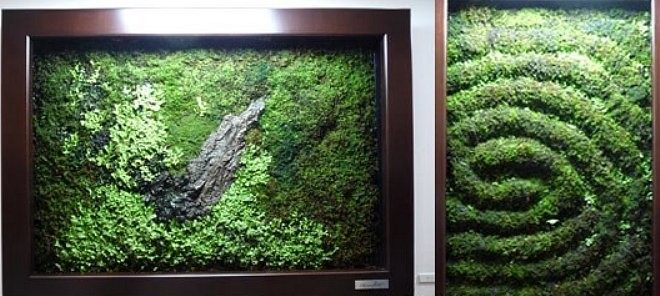 Moss walls