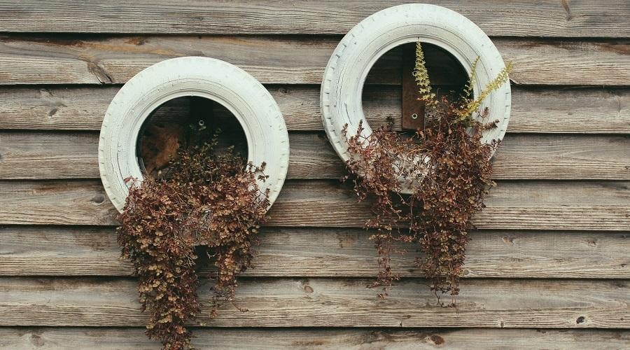 Old tires repurposed as fence planters.