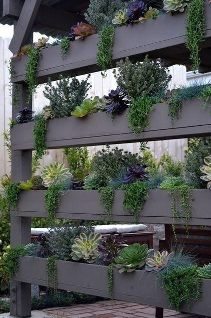 Succulent layered planter.