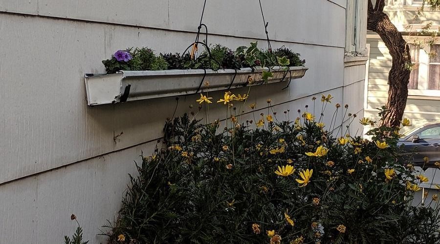  Used gutters as hanging planters.