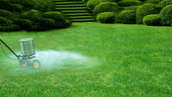 lawn fertilizers
