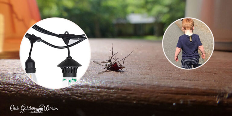 The Best Mosquito Repellent in 2026 (Best for Camping, Backyard, Travel)