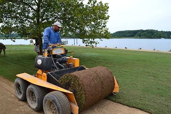 Big sod rolls